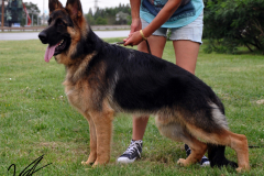 ares