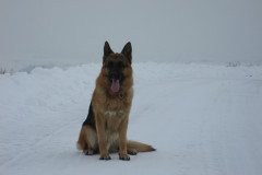 IMG_0095