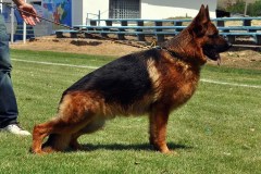 son-geronimo-von-team-panoniansee