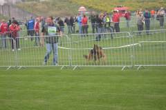 img_0063