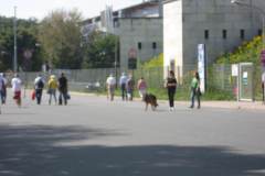 img_0316