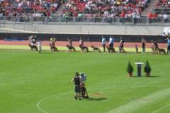 img_0325