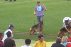 img_0885