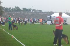 IMG_20140906_110331
