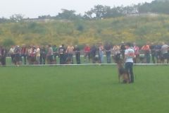 IMG_20140906_110350