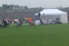 IMG_20140906_110404