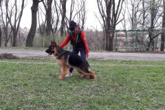 toreto