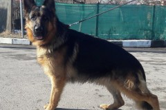 toreto142150